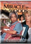 Miracle in the Woods