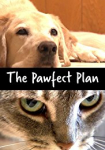 The Pawfect Plan